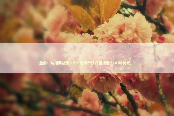 盘前：纳指期货涨0.5%比特币跃升至接近72000美元_1