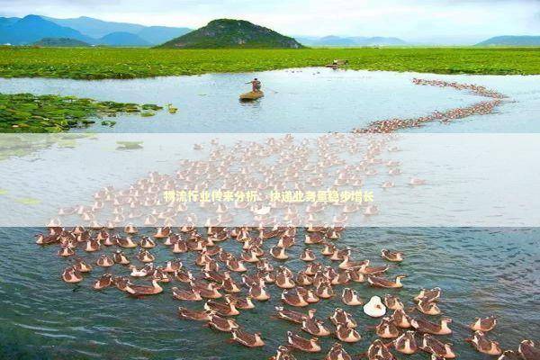 物流行业传来分析：快递业务量稳步增长 新闻