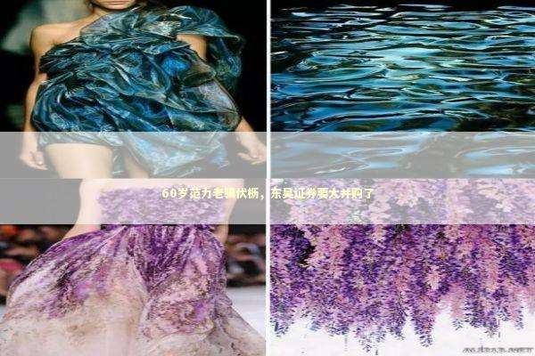 60岁范力老骥伏枥，东吴证券要大并购了 新闻