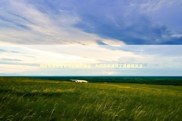 揭秘信息安全背后的隐形堡垒：为何高端通讯工具备受关注 IT技术