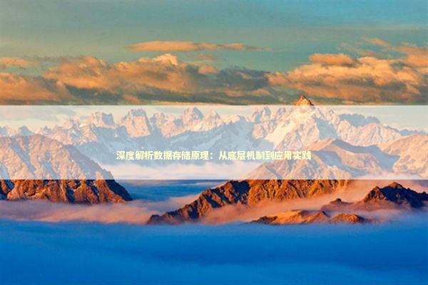 深度解析数据存储原理：从底层机制到应用实践 IT技术
