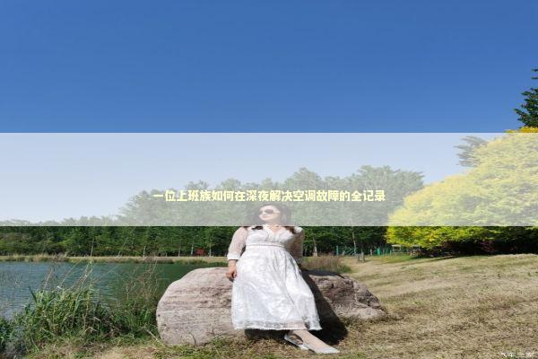 一位上班族如何在深夜解决空调故障的全记录 企业服务