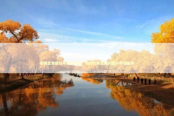 分销卖家都在寻找的答案：如何选择靠谱的图片存储服务