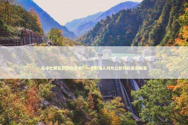 从手忙脚乱到游刃有余：一个职场人对办公软件的真实蜕变