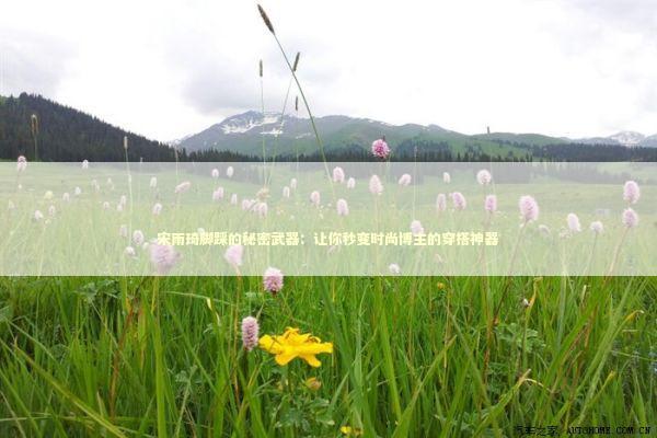 宋雨琦脚踩的秘密武器：让你秒变时尚博主的穿搭神器